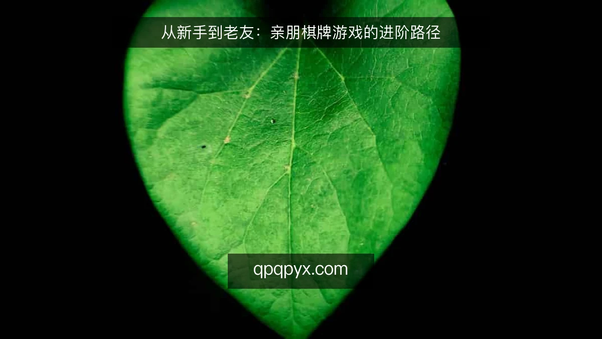 从新手到老友:亲朋棋牌游戏的进阶路径